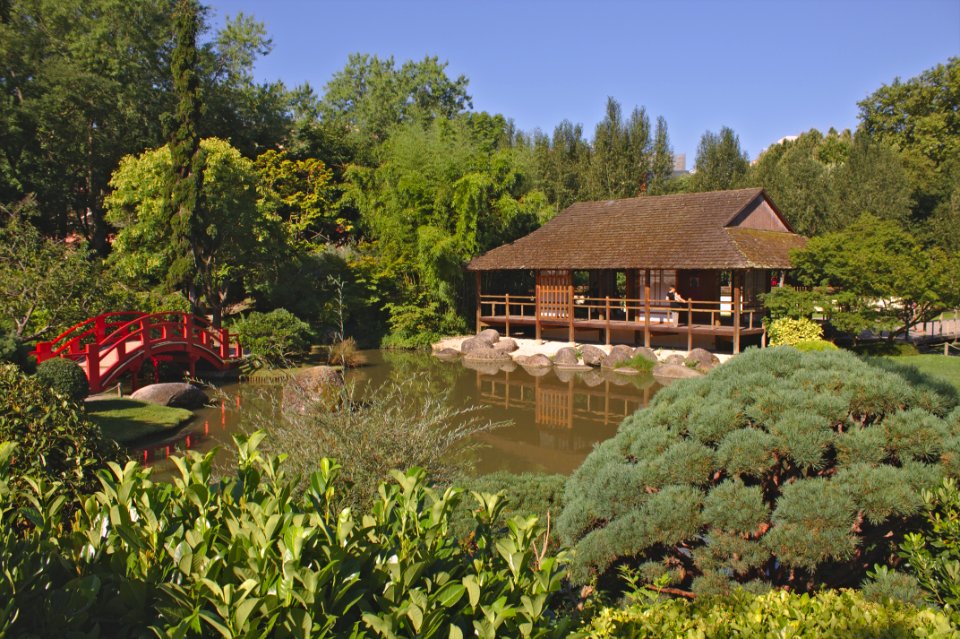 Vegetation, Nature Reserve, Garden, Botanical Garden