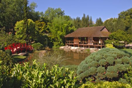 Vegetation, Nature Reserve, Garden, Botanical Garden