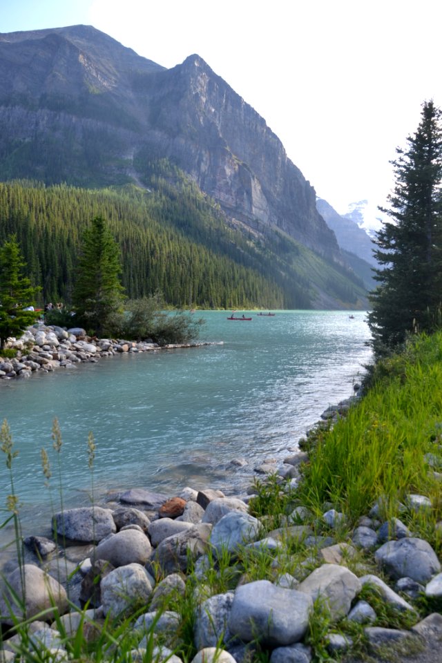 Wilderness, River, Nature Reserve, Water