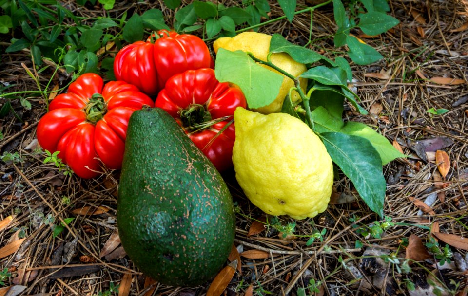 Vegetable, Fruit, Local Food, Natural Foods