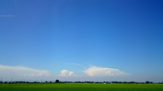 Sky, Grassland, Daytime, Field