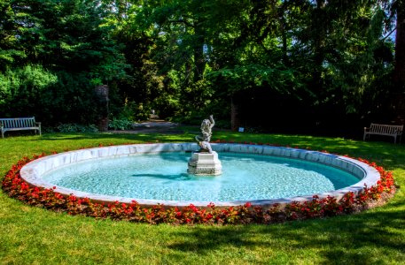 Swimming Pool, Water Feature, Water, Leisure