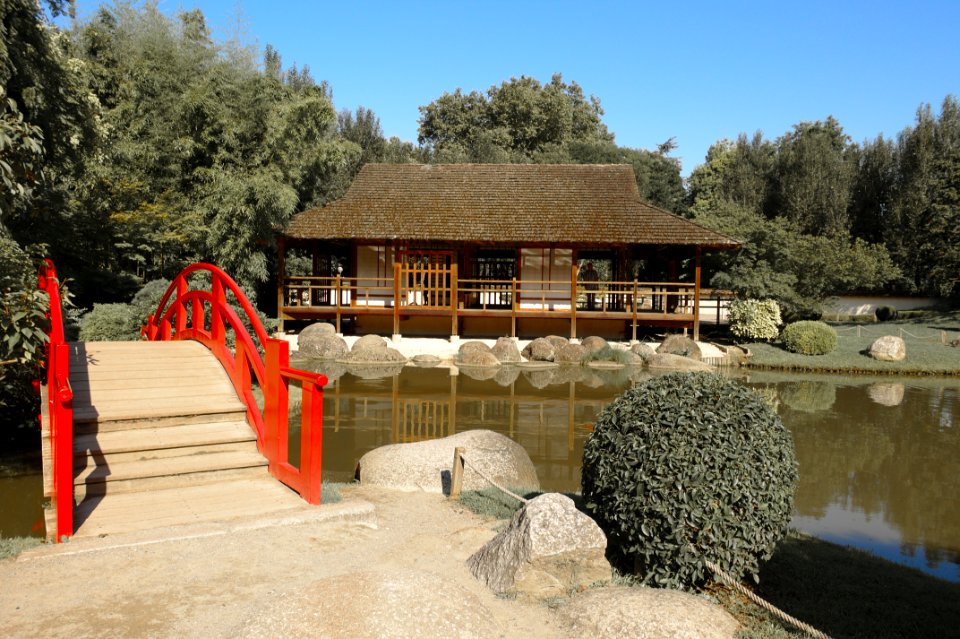 Water, Tree, Tourist Attraction, Plant