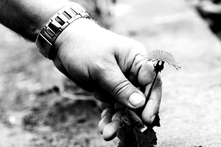 Hand, Black And White, Finger, Monochrome Photography photo
