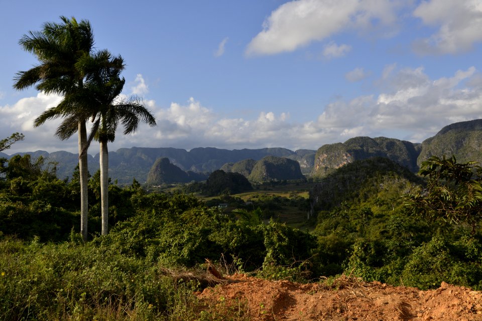Vegetation, Nature, Sky, Mountainous Landforms