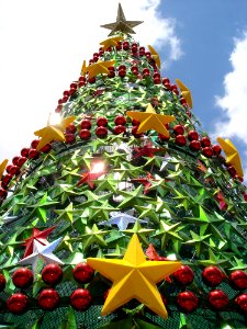 Christmas Decoration, Christmas Tree, Christmas, Evergreen photo
