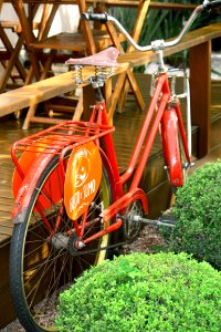 Bicycle, Motor Vehicle, Road Bicycle, Bicycle Accessory