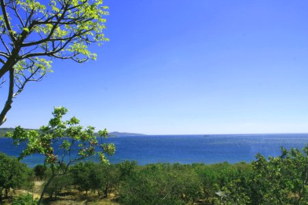 Sky, Vegetation, Nature Reserve, Tree