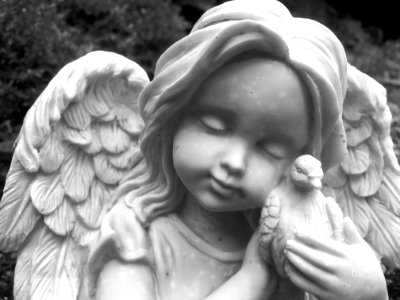 Statue, Black And White, Classical Sculpture, Angel photo