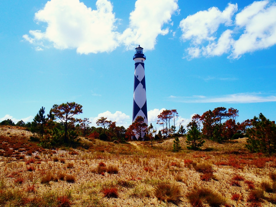 Sand dune dunes beach