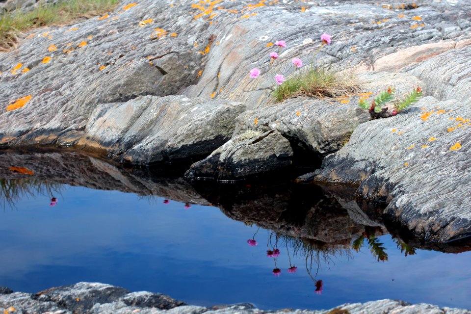 Reflection, Water, Rock, Geological Phenomenon