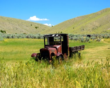 Grassland, Ecosystem, Field, Agriculture