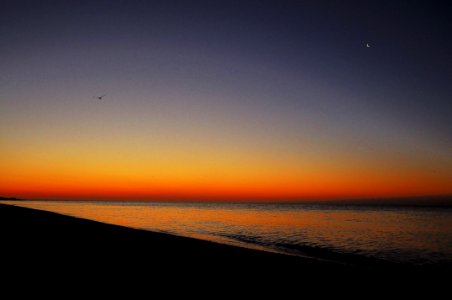 Horizon, Sky, Sea, Sunrise photo