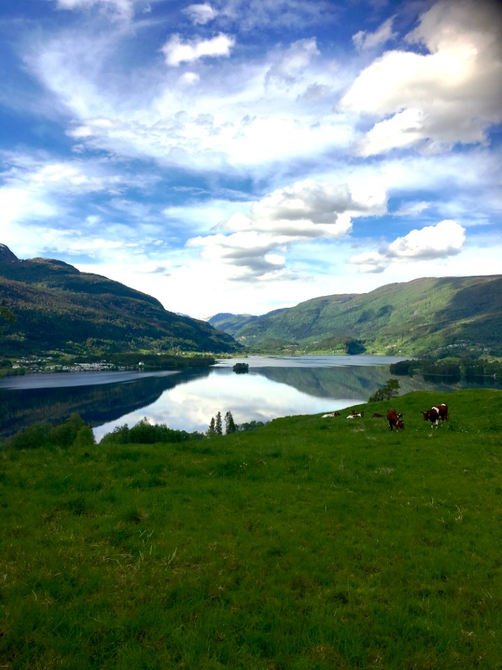 Highland, Loch, Nature, Sky