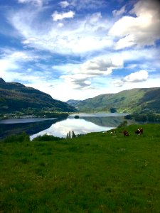 Highland, Loch, Nature, Sky