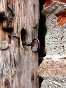 Wood, Tree, Trunk