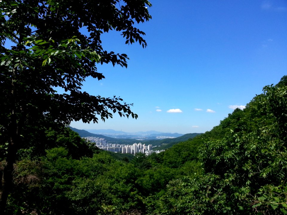 Sky, Nature, Vegetation, Tree