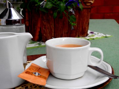 Serveware, Coffee Cup, Tableware, Cup photo