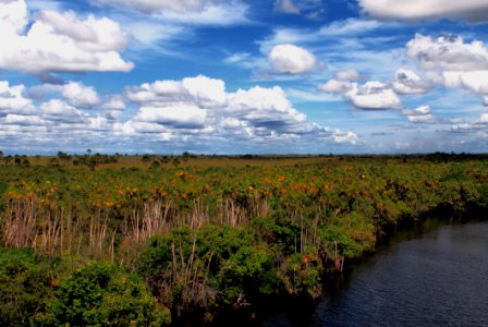 Sky, Cloud, Vegetation, Nature Reserve