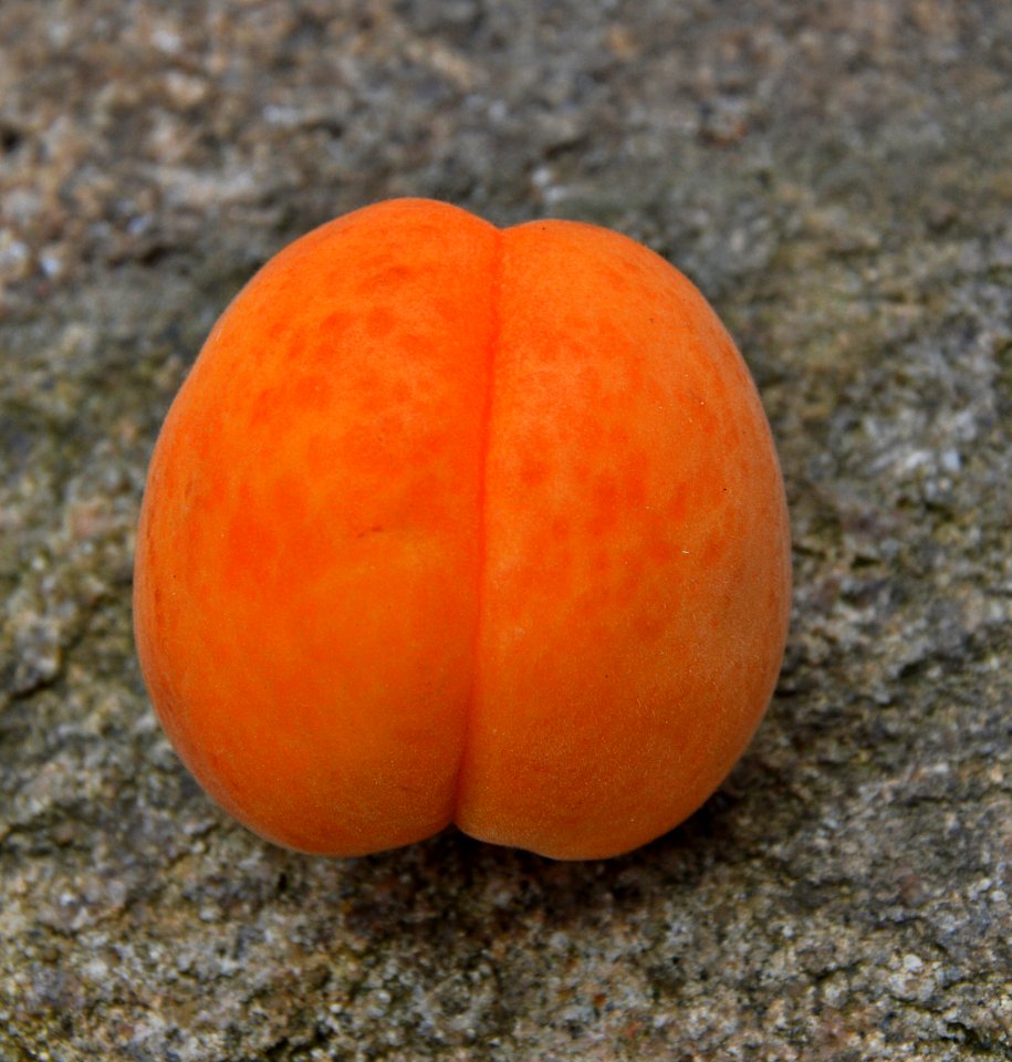Fruit, Winter Squash, Produce, Diospyros