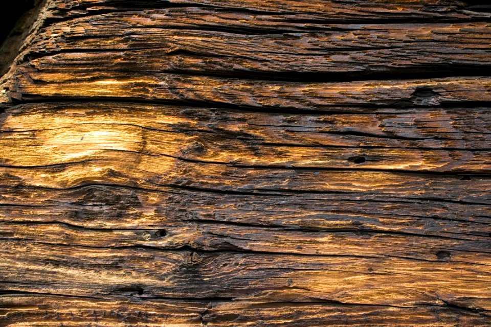 Wood, Trunk, Rock, Bedrock