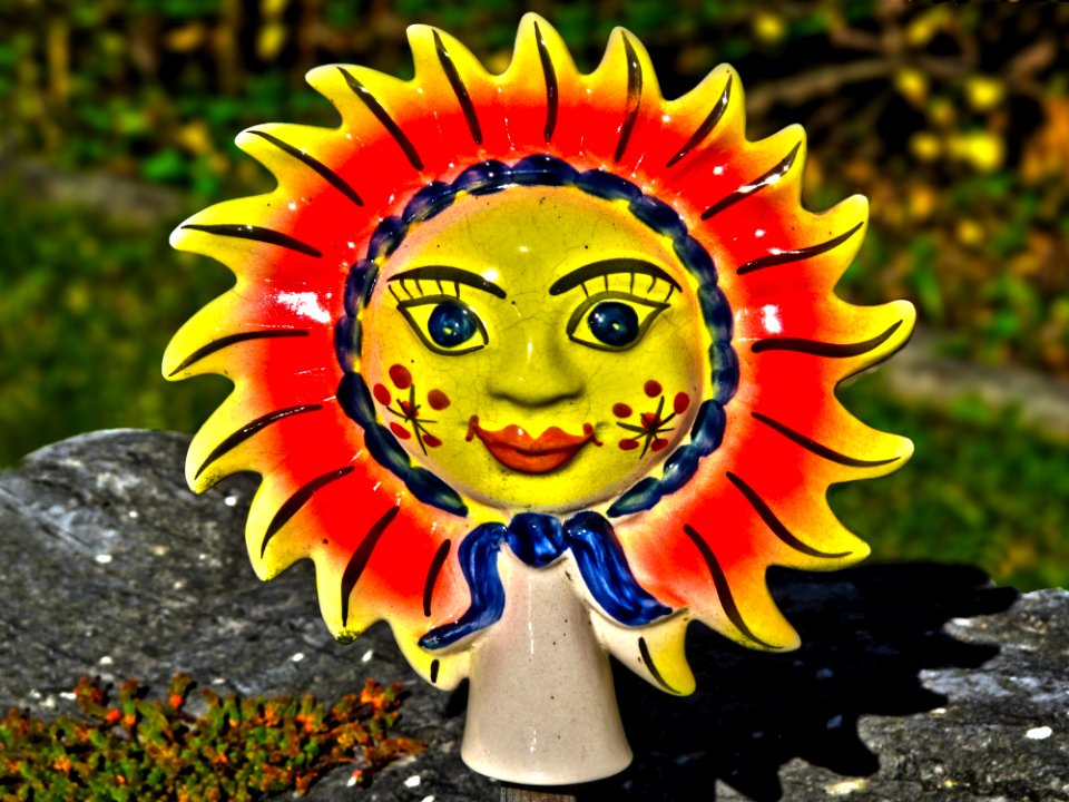 Yellow, Sunflower, Flower, Plant