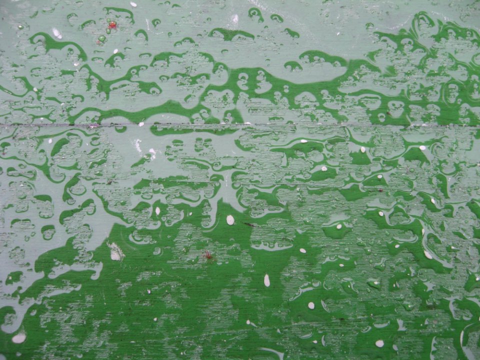 Water, Green, Leaf, Drop