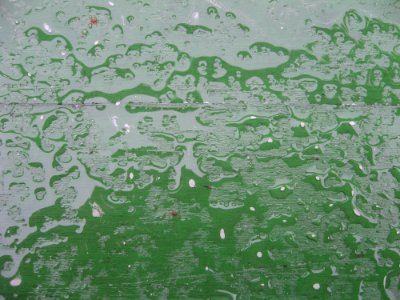 Water, Green, Leaf, Drop