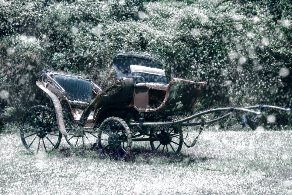 Motor Vehicle, Car, Carriage, Vehicle