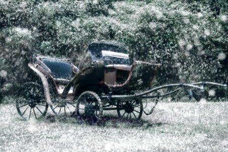 Motor Vehicle, Car, Carriage, Vehicle photo