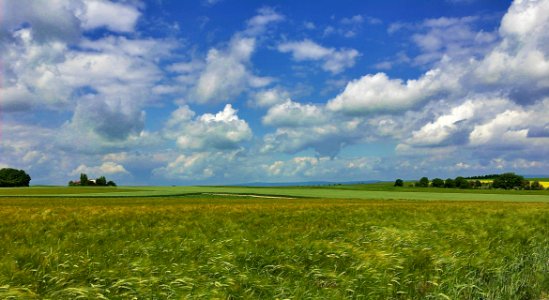 Grassland, Sky, Field, Plain photo