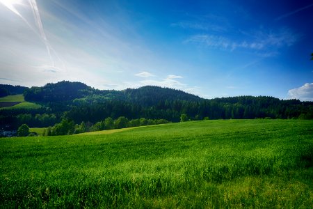 Grassland, Sky, Nature, Green