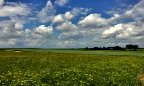 Grassland, Sky, Field, Ecosystem