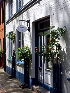 Flower, House, Neighbourhood, Architecture