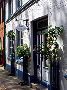 Flower, House, Neighbourhood, Architecture photo