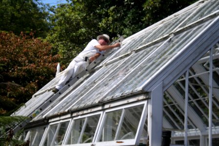 Roof, Outdoor Structure, Daylighting, Greenhouse