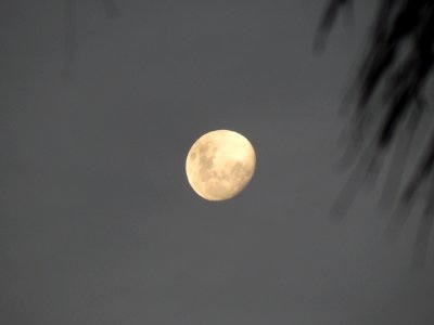 Moon, Sky, Atmosphere, Daytime photo