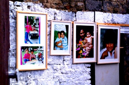 Window, Flower, Picture Frame, Art