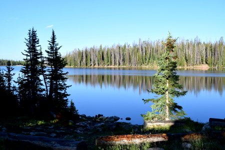 Nature, Lake, Wilderness, Reflection photo