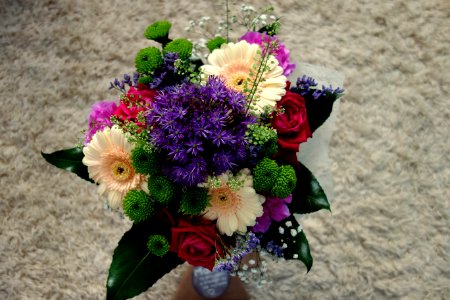 Flower, Flower Arranging, Plant, Purple photo