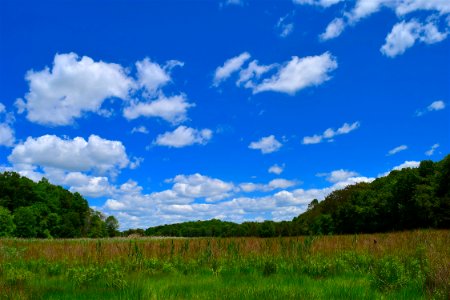 Sky, Grassland, Cloud, Ecosystem photo