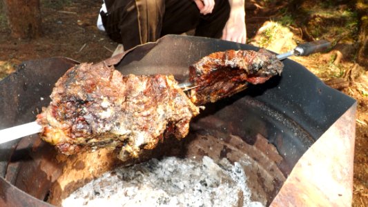 Meat, Grilling, Barbecue, Roasting