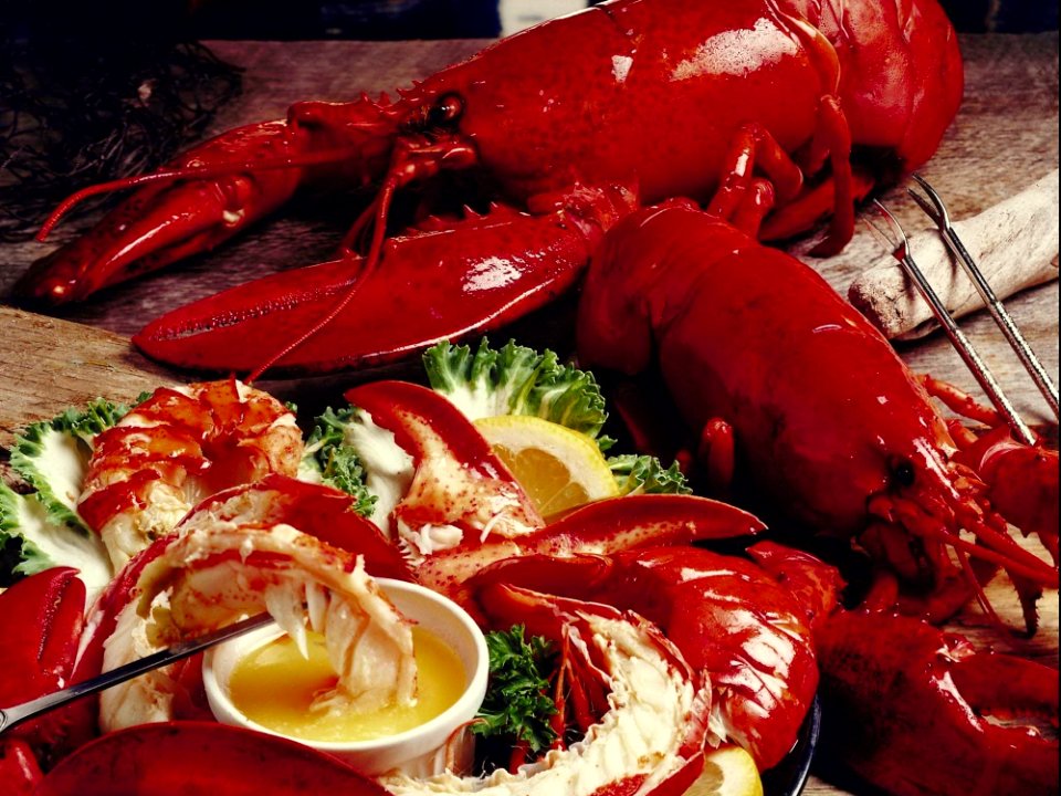 Seafood, Food, Lobster, Decapoda