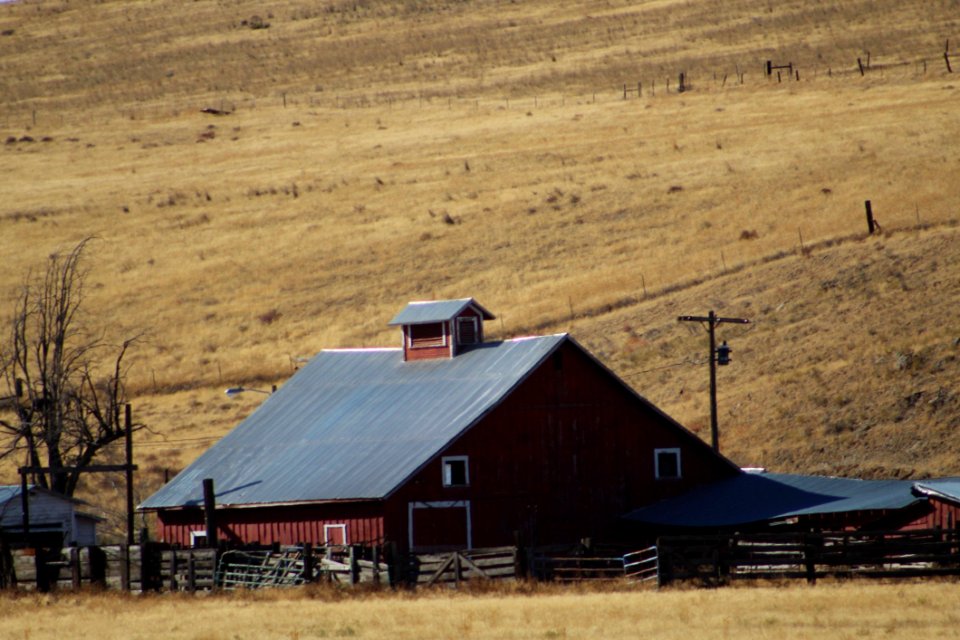 Barn, Farm, Rural Area, Ranch