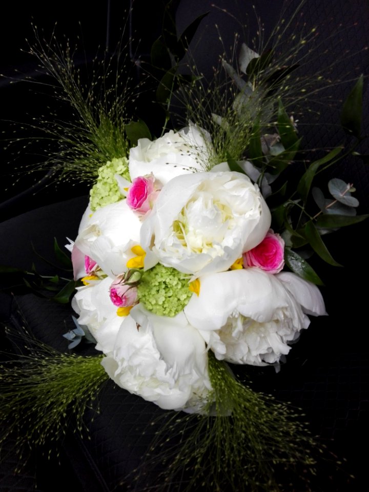 Flower, White, Flower Bouquet, Floristry