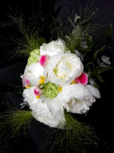 Flower, White, Flower Bouquet, Floristry photo