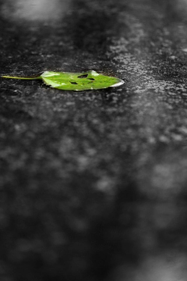 Water, Reflection, Black And White, Monochrome Photography