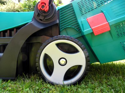 Motor Vehicle, Vehicle, Grass, Lawn