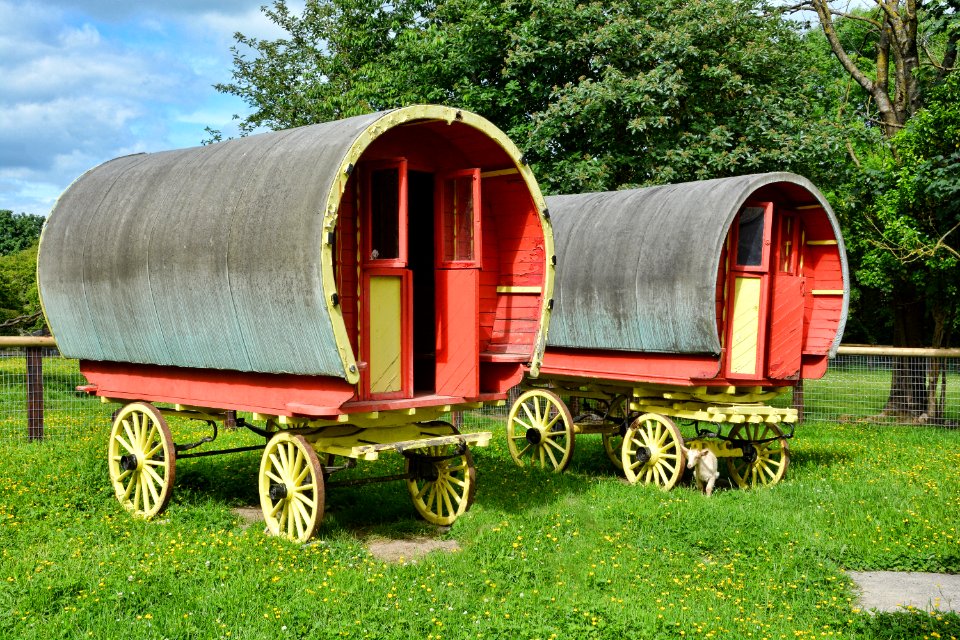 Wagon, Rural Area, Grass, Farm