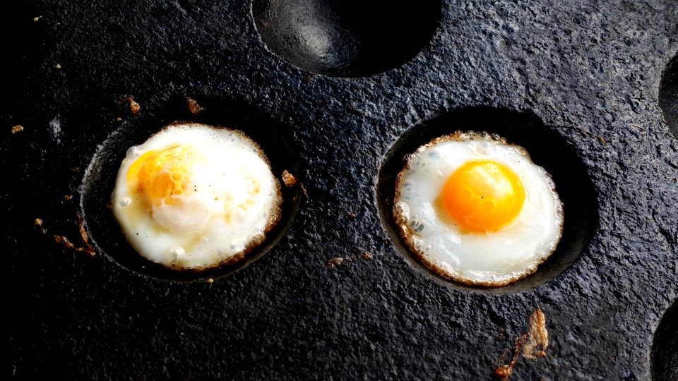Egg, Fried Egg, Food, Breakfast photo